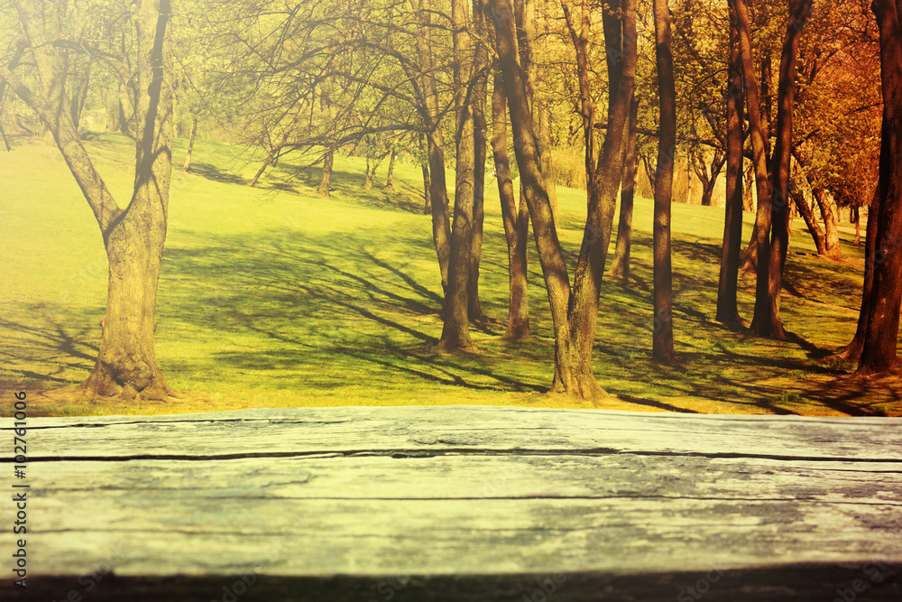 Park in fall season and picnic table