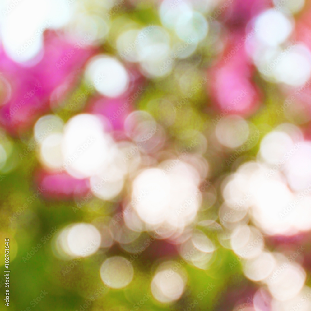 Bokeh of nature Bokeh of nature