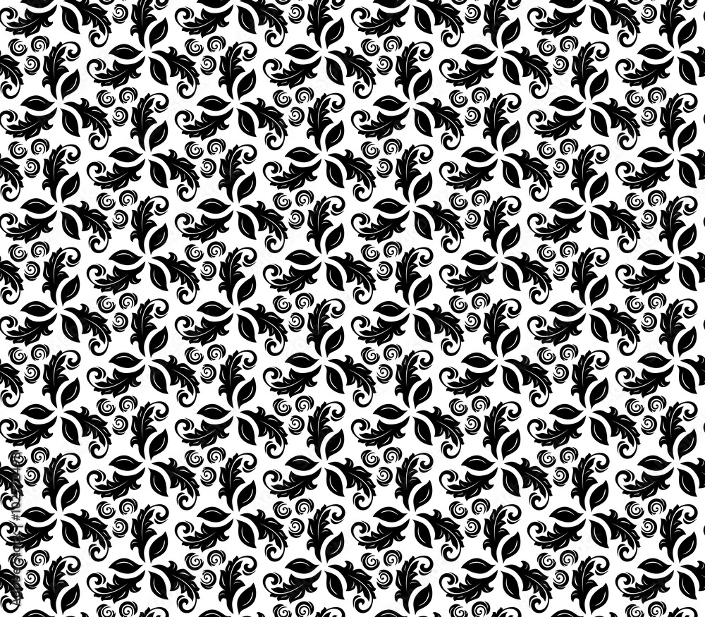 Floral ornament. Seamless abstract background with fine black and white pattern Floral ornament. Seamless abstract background with fine black and white pattern
