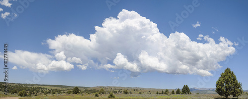 A Large Developing Thunderhead over the High Desert Plateau of Southeastern Oregon