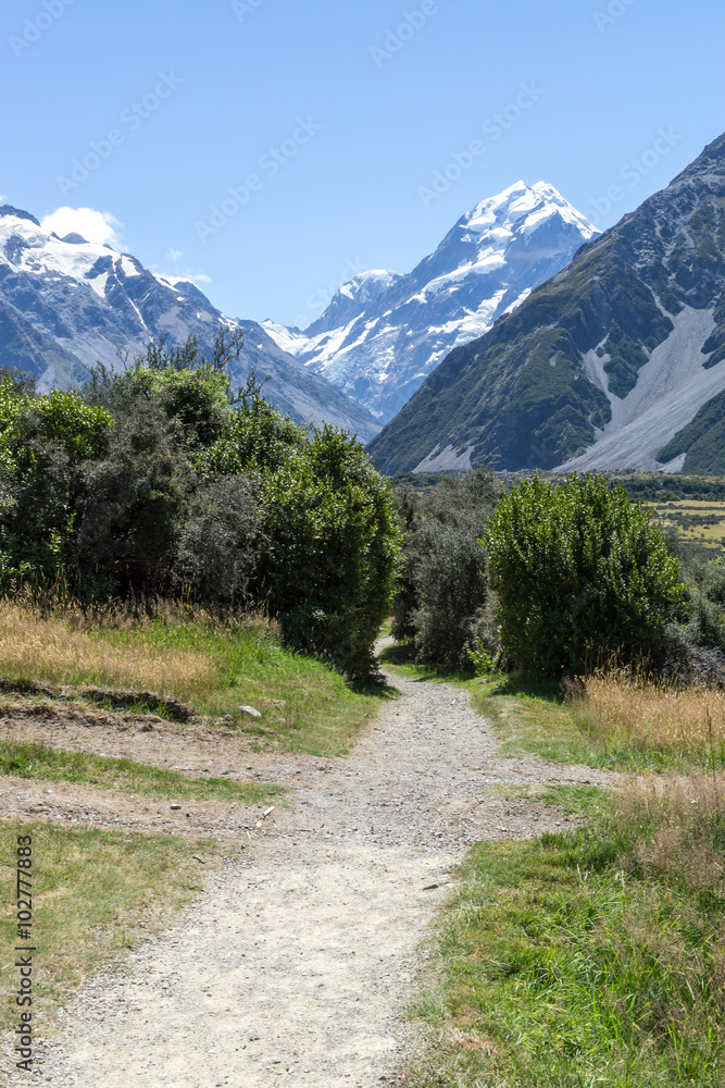 Fototapeta premium Kea Point Track