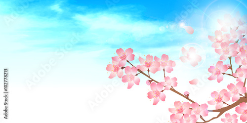 桜 春 花 背景 © J BOY