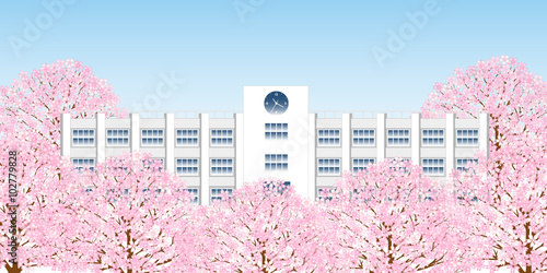 学校　桜　春　背景