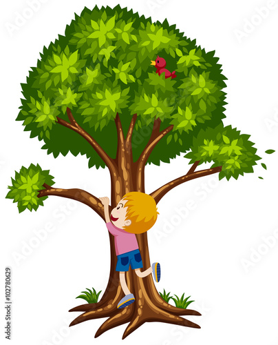 Little boy climbing up the tree
