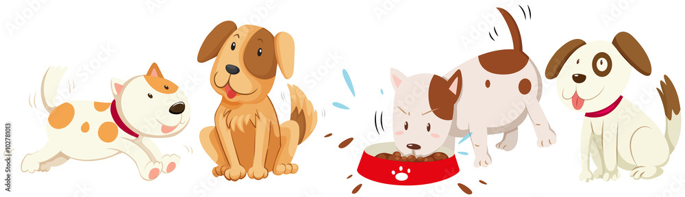 Dogs in different actions Dogs in different actions
