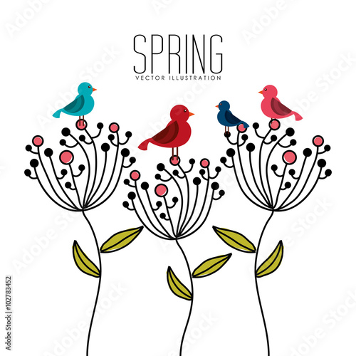 spring season design 