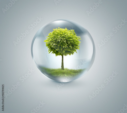 drop of water with tree inside