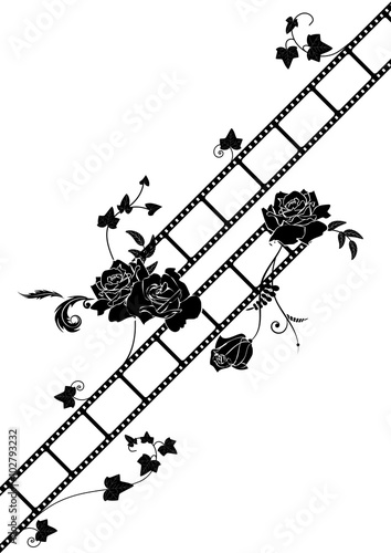 roses and film strip background