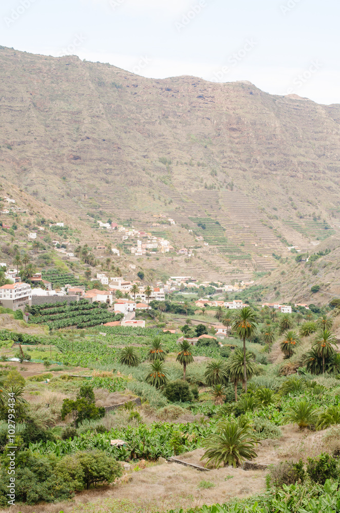 Obraz premium Valley of Hermigua, La Gomera.