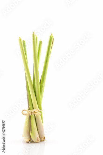 Lemon grass or Oil grass.