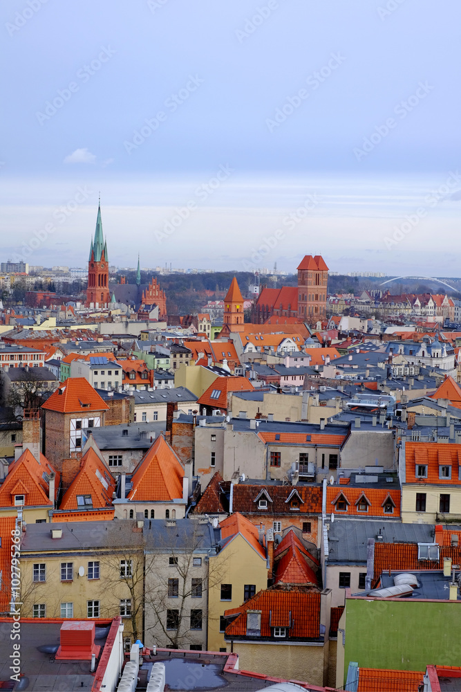Obraz premium Panorama of Torun