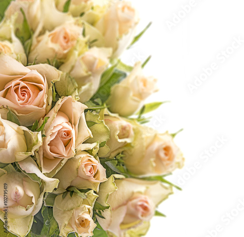 bouquet of roses close up