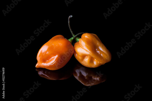 Tableau sur toile Two yellow hot habanero peppers on black background with reflection