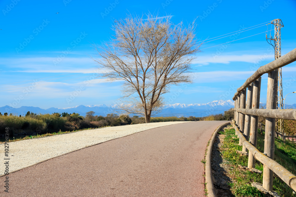 Deserted gravel hiking path among ambient greenery near river with snowy mountains peaks in background Deserted gravel hiking path among ambient greenery near river with snowy mountains peaks in background