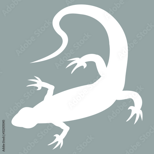 Stylized icon of lizard in white on a colored background