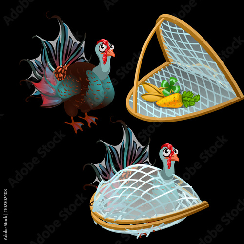 Turkey is trapped and some vegetables