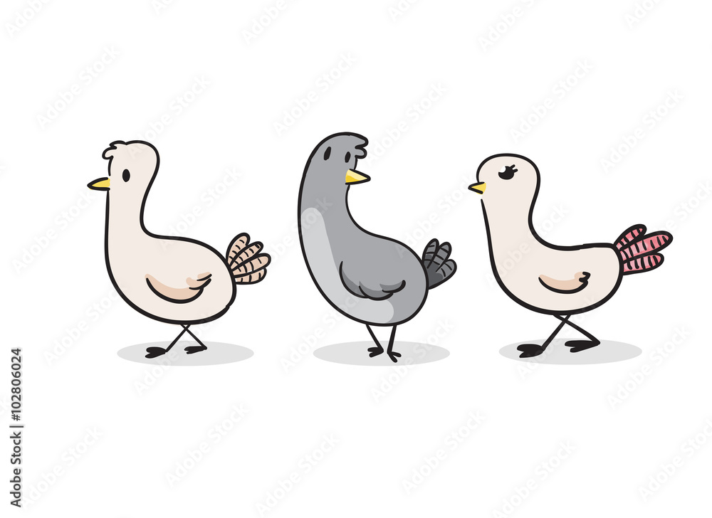 Cute Pigeon vector illustration Cute Pigeon vector illustration
