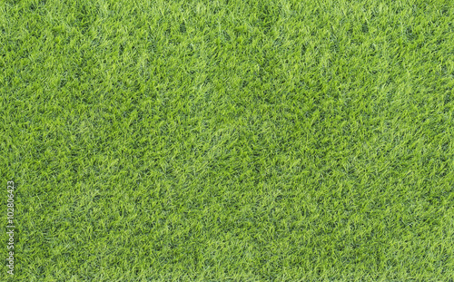 Large Green Grass texture