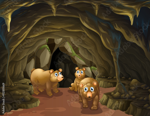 Bear family living in the cave