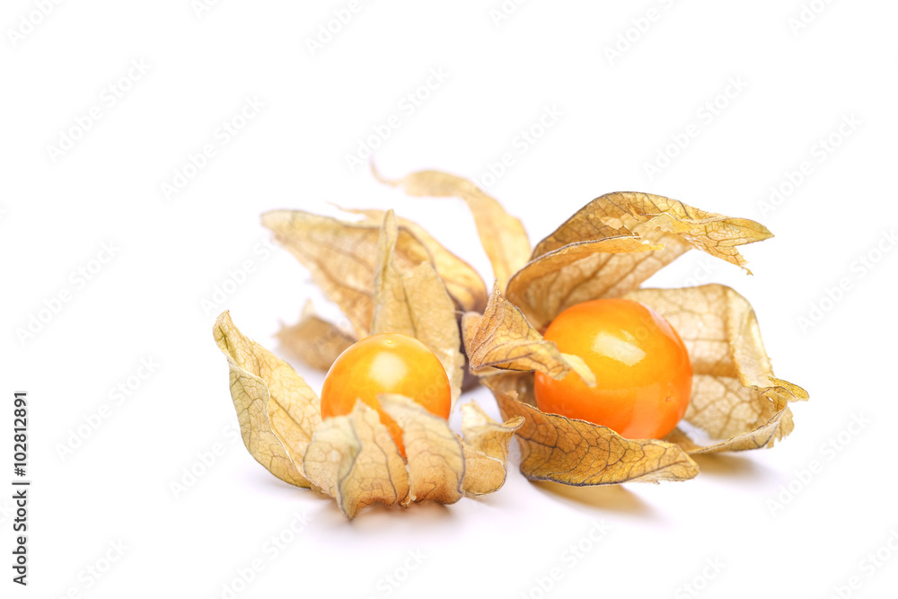 the raw physalis the raw physalis