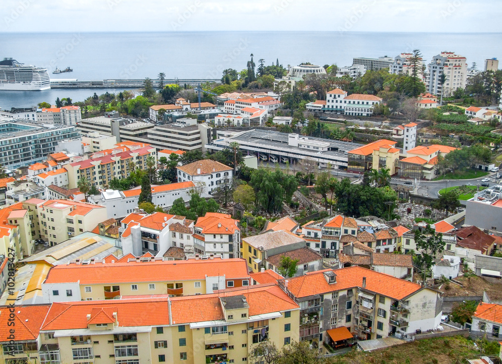 Obraz premium Funchal in Madeira