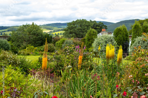 Fototapeta Naklejka Na Ścianę i Meble -  Beautiful walled, victorian garden with variety of blooming flowers and trees