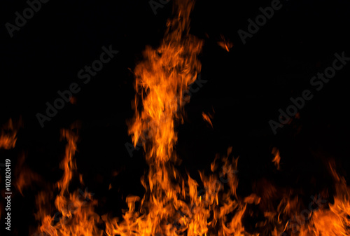 Fire flames on a black background