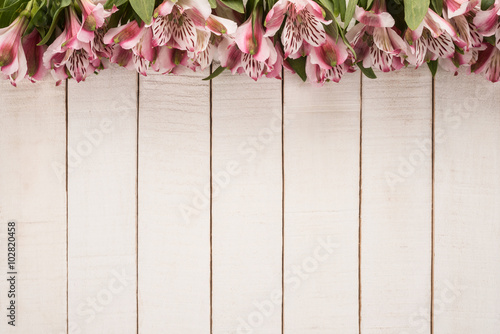 Alstroemeria Flowers on wooden background  photo