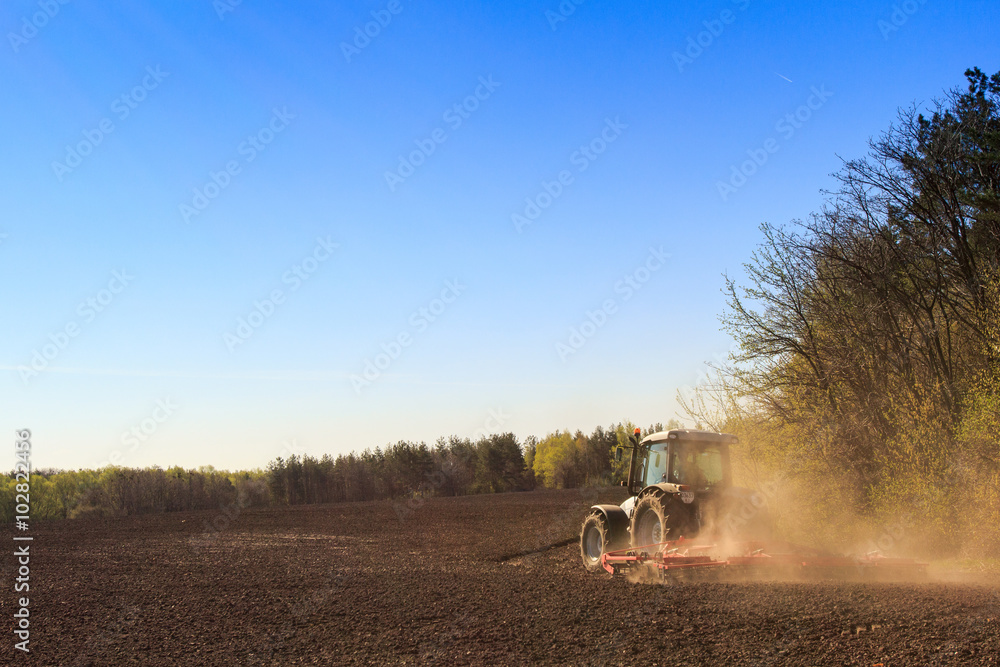 Fototapeta premium cultivator operates on ploughed field near spring forest