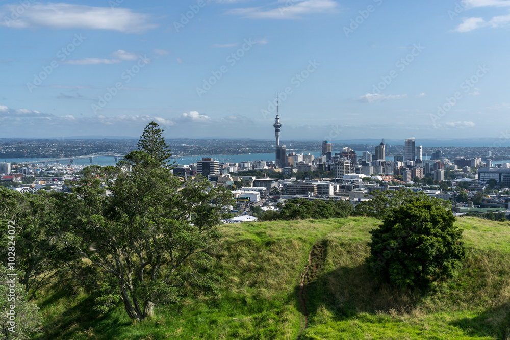 Auckland city view