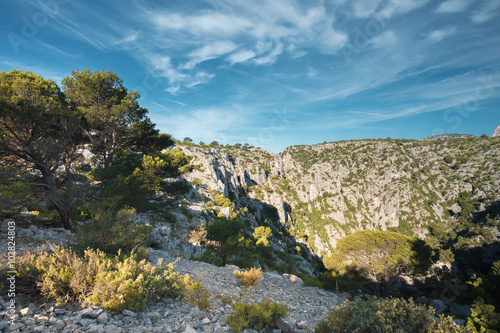 Beautiful nature of Calanques on the azure coast of France. High © Grigory Bruev