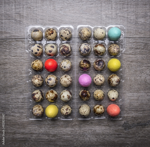 quail eggs in a plastic container with colorful decorative eggs for Easter on wooden rustic background top view close up