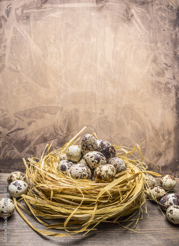 Obraz premium Fresh quail eggs in the nest border place for text on wooden rustic background top view close up