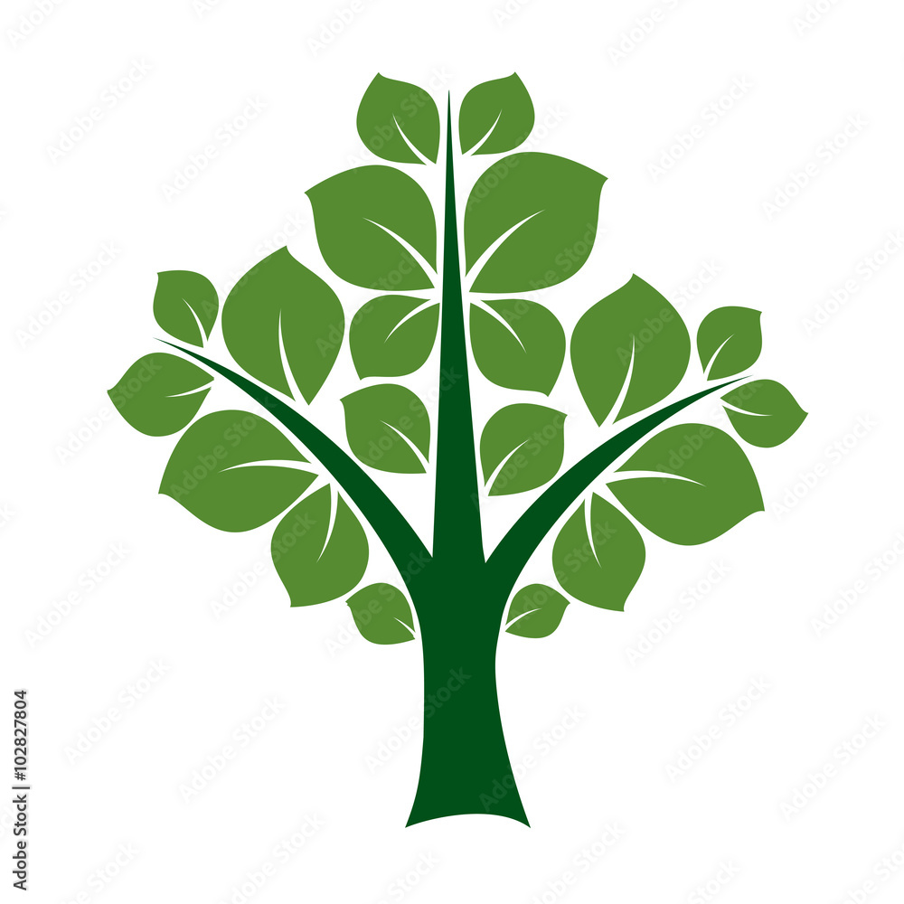 Obraz premium Color Tree and Roots. Vector Illustration.