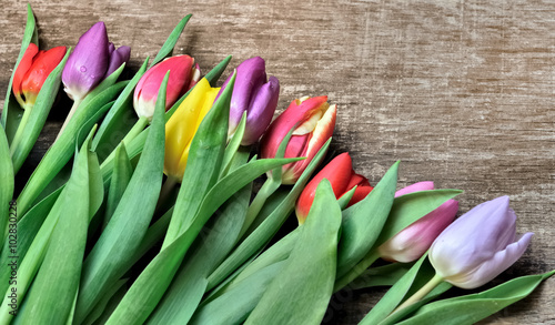 bouquet de tulipes de différentes couleurs  sur fond bois