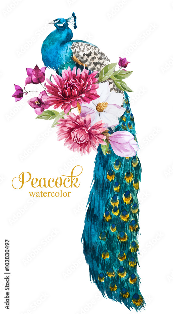 Fototapeta premium Watercolor peacock with flowers