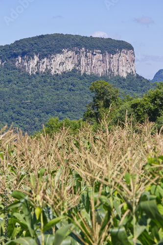 Corn and Malakoff mount in Nova Petropolis - Rio Grande do Sul -