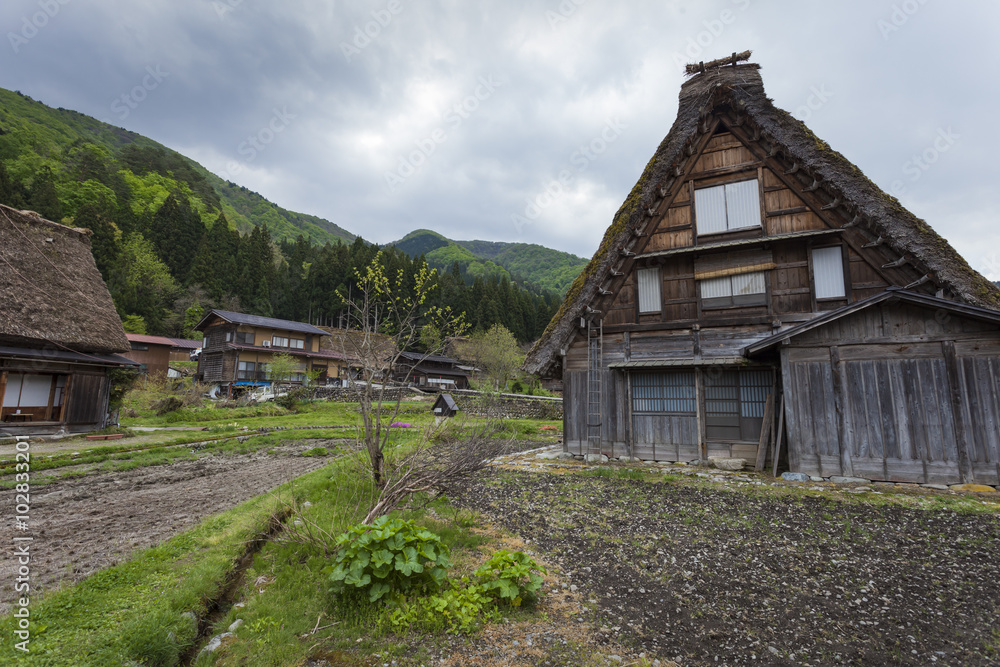 Traditional and Historical Japanese village Ogimachi - Shirakawa