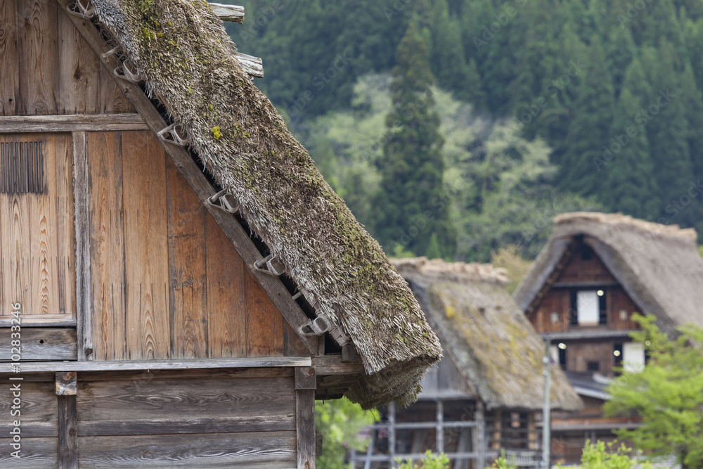Traditional and Historical Japanese village Ogimachi - Shirakawa Traditional and Historical Japanese village Ogimachi - Shirakawa