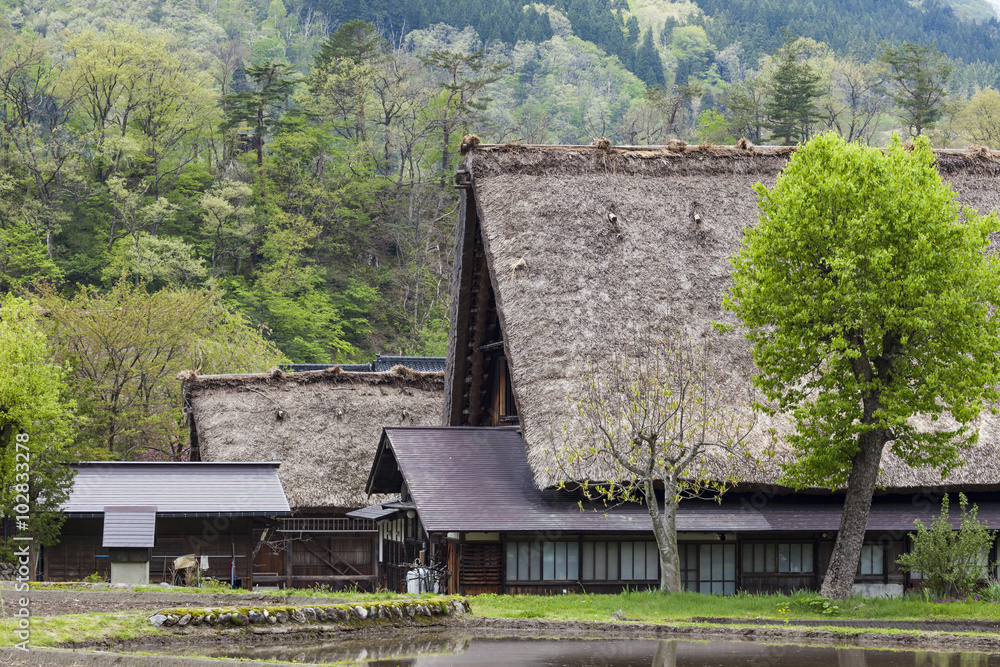 Traditional and Historical Japanese village Ogimachi - Shirakawa Traditional and Historical Japanese village Ogimachi - Shirakawa