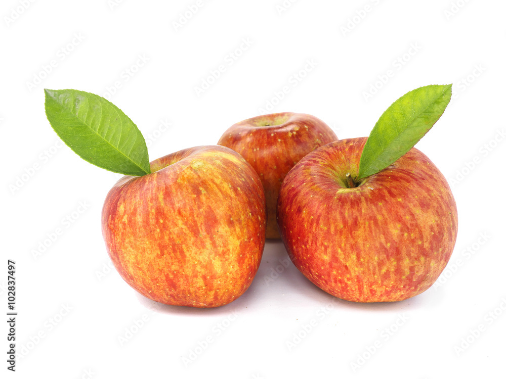fresh apples with leaves isolated on white background fresh apples with leaves isolated on white background