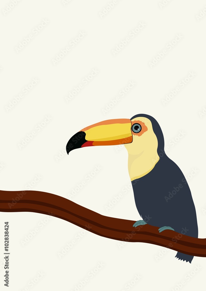 Naklejka premium Toucan on a branch
