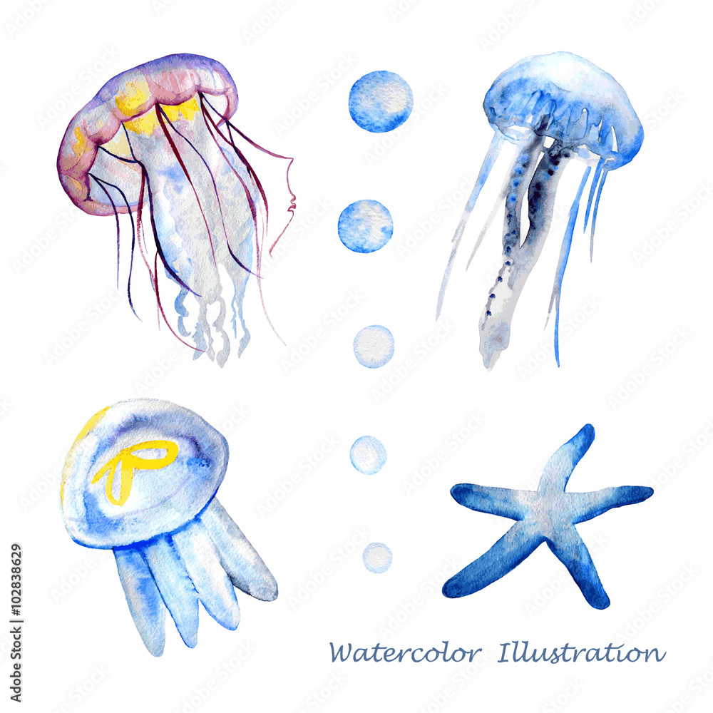 Obraz premium Watercolor jellyfish illustration.