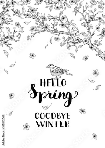 Hello spring, goodbye winter!
