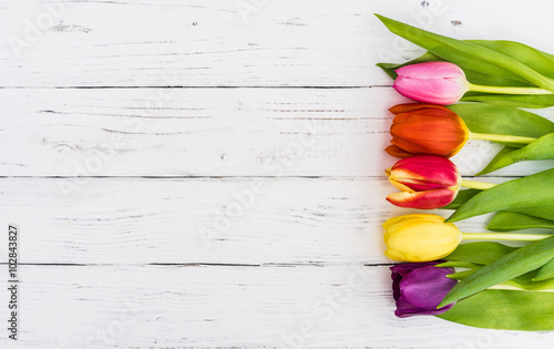 Fototapeta Naklejka Na Ścianę i Meble -  Frühling Blumen Tulpen Geschenk Karte