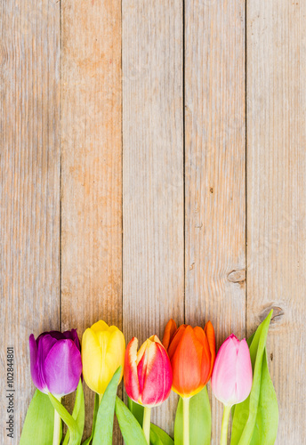 Fototapeta Naklejka Na Ścianę i Meble -  Bunte Tulpen auf Holz Hintergrund