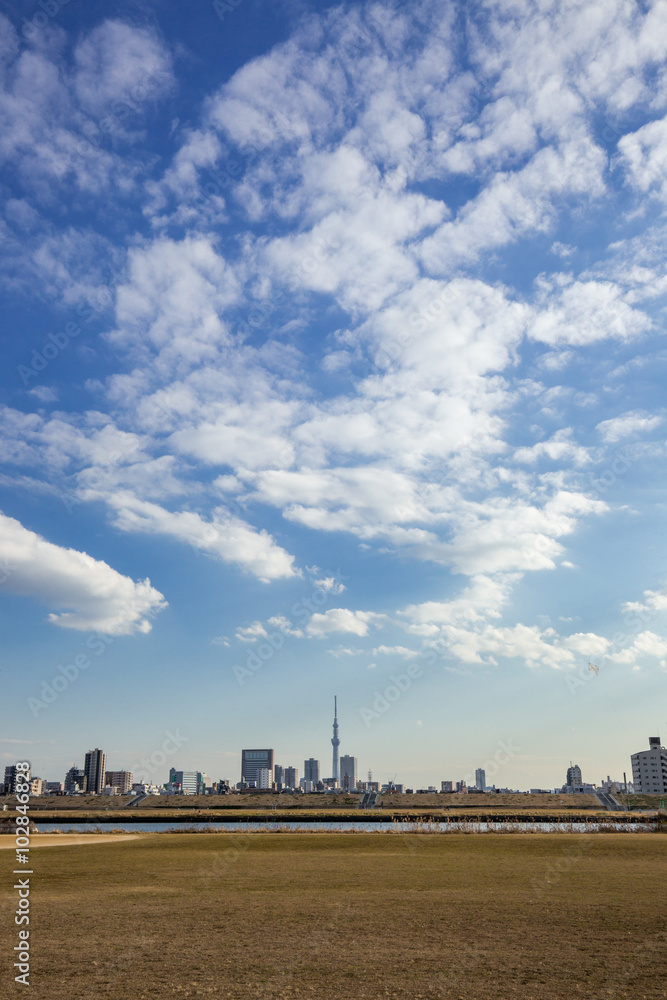 Fototapeta premium 青空と雲