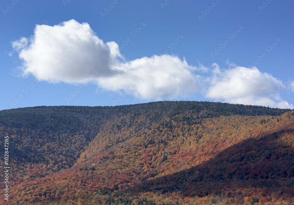 Catskill Mountains, Autumn: Autumn foliage in the Catskill Mountain range near Windham, New York.