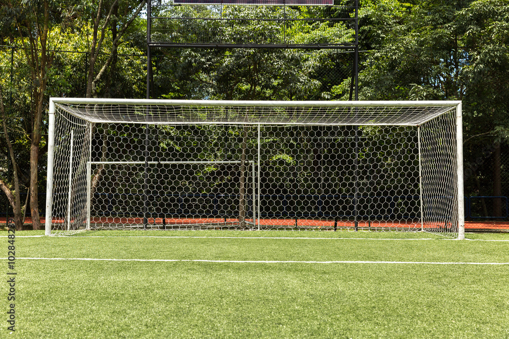 Fototapeta premium Green soccer field