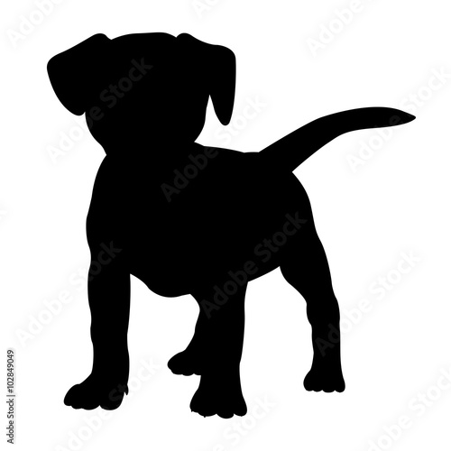 fox terrier puppy dog silhouette isolated © smaliars